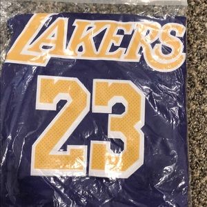 Lebron 23 Lakers Purple Swingman size 48/M